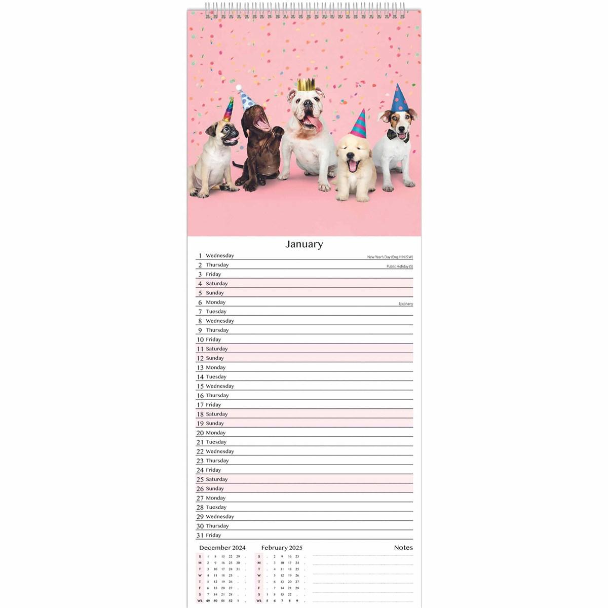 Wacky Wildlife Slim Calendar 2025 for Animal Masterpieces 2025 Calendar Printable