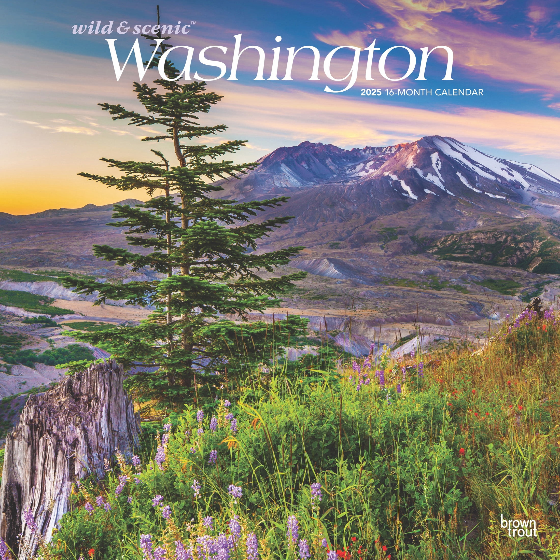 Washington Wild &amp;amp; Scenic | 2025 12X24&amp;quot; (Hanging) Wall Calendar within Evergreen State Washington Places 2025 Calendar Printable