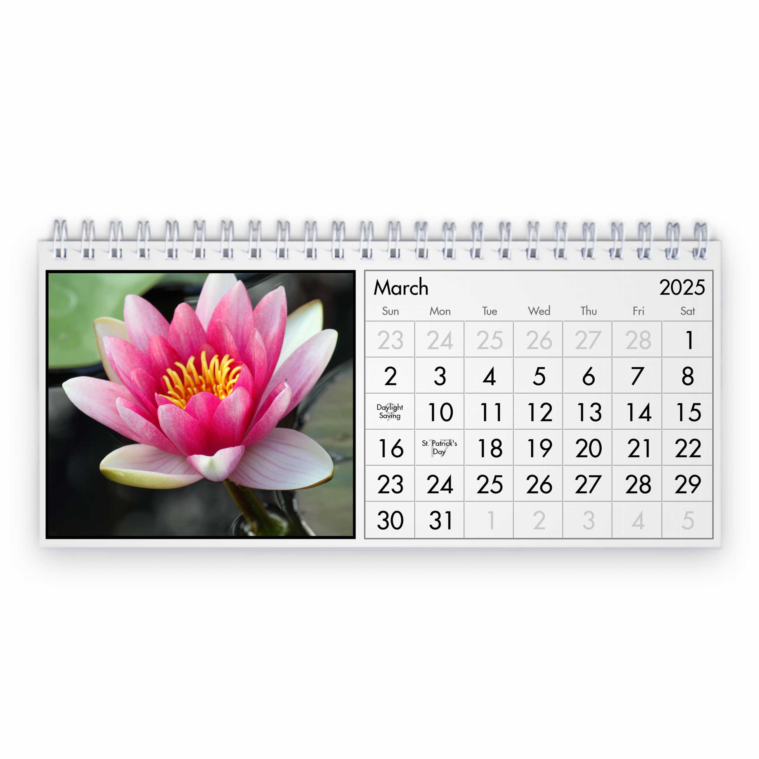 Water Lily 2025 Desk Calendar in White Lotus 2025 Calendar Printable
