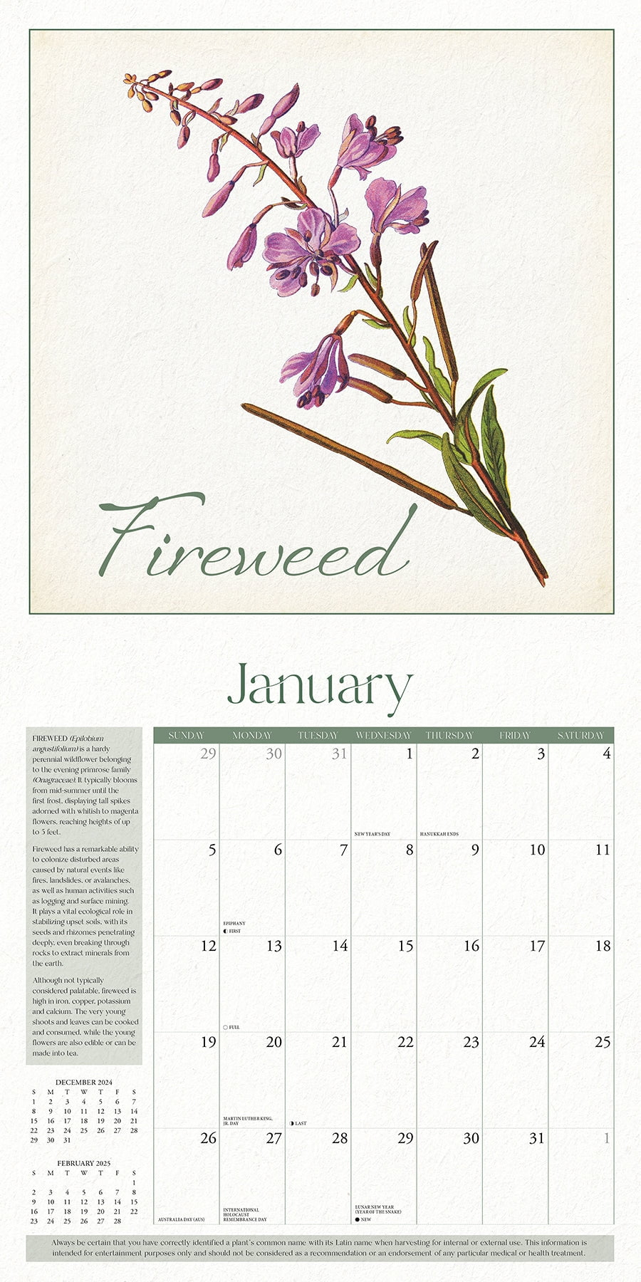 Weeds And Herbs—Let It Grow 2025 Wall Calendar - Walmart Business pertaining to Weeds and Herbs 2025 Calendar Printable