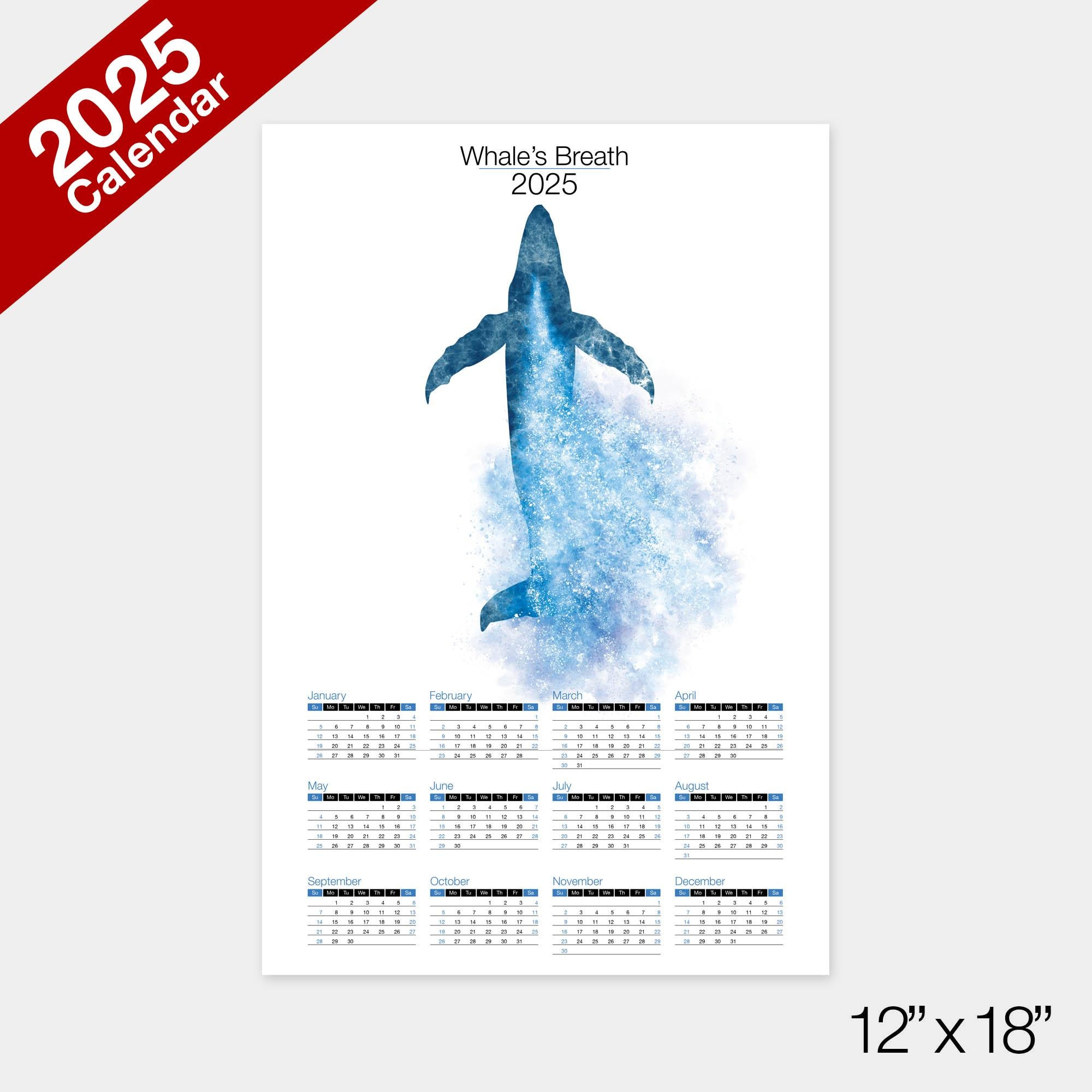 Whales Wall Calendar 2025, Ocean Wildlife, Pnw, Underwater Art with Whales 2025 Calendar Printable