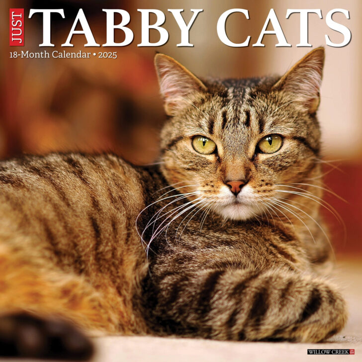 What Cats Teach Us 2025 Calendar Printable