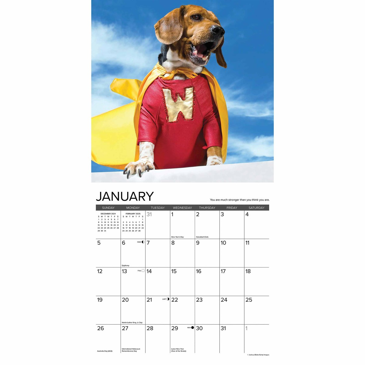 What Dogs Teach Us Calendar 2025 in What Puppies Teach Us 2025 Calendar Printable