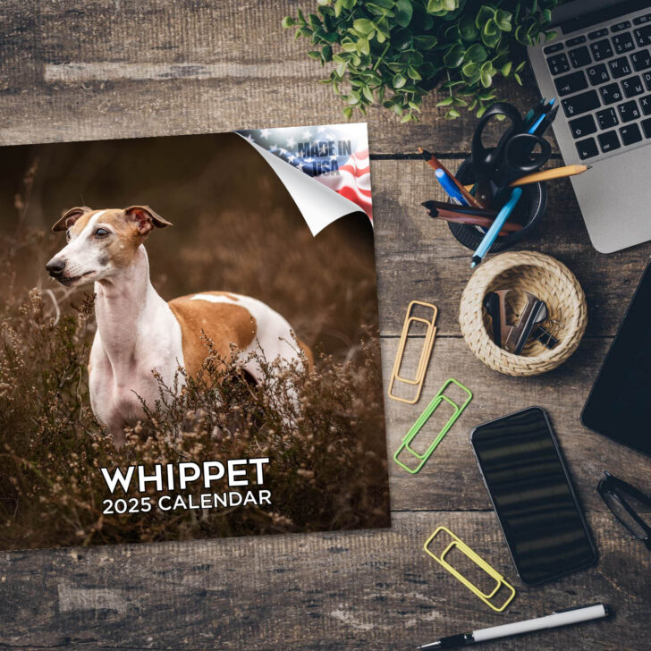 Whippets 2025 Calendar Printable
