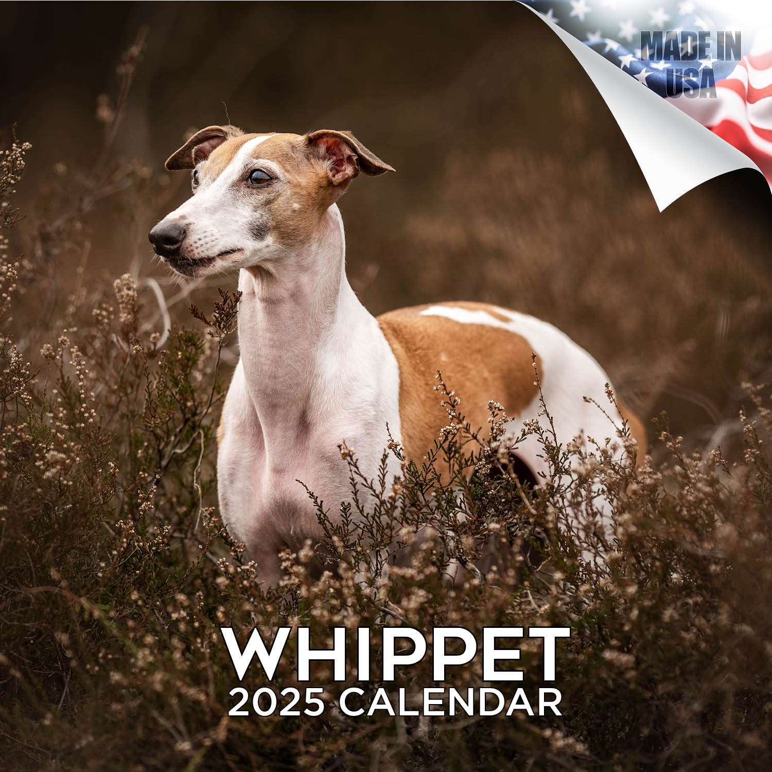 Whippet Dog Breed Calendar 2025 Full Size 12X24 Made In Usa pertaining to Whippets 2025 Calendar Printable