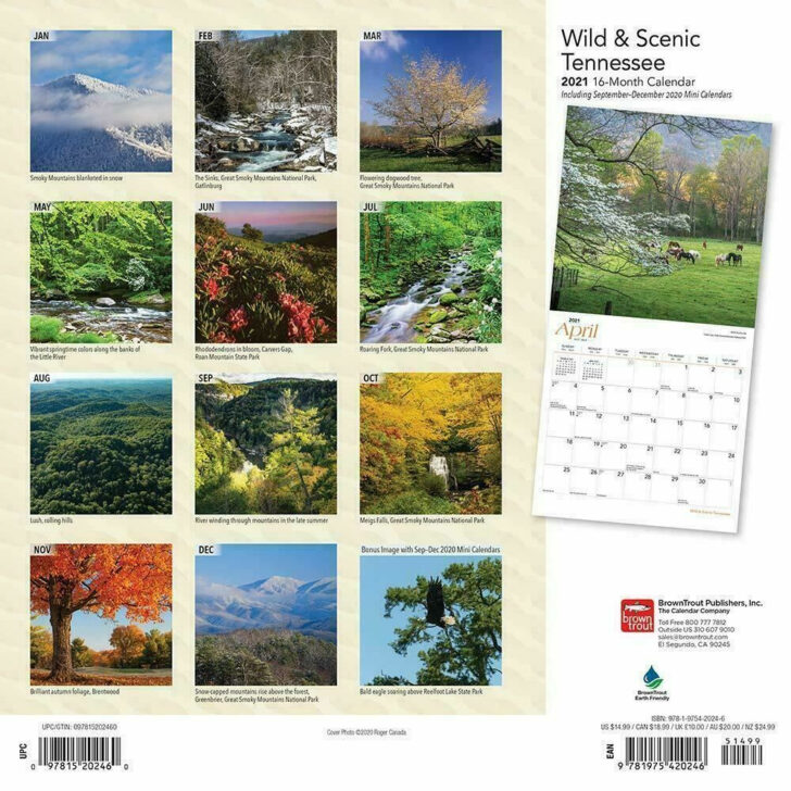 Tennessee Wild and Scenic 2025 Calendar Printable