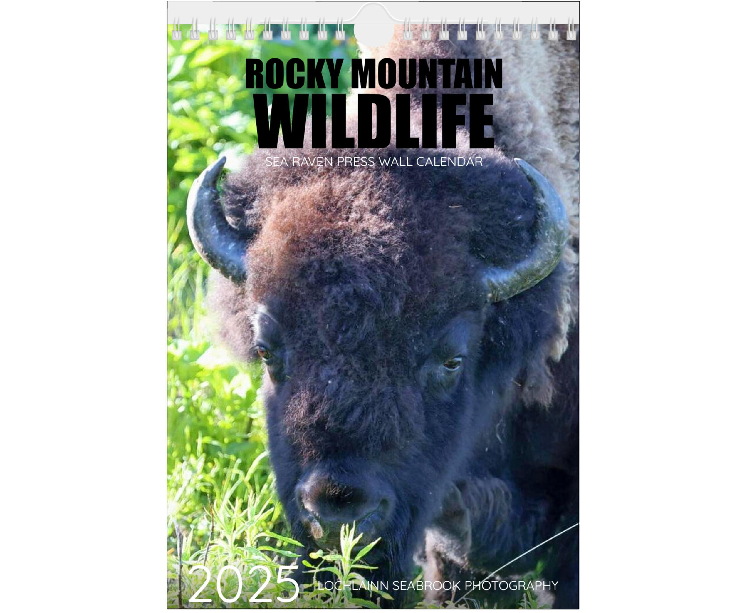 Wildlife 2025 Calendar - Etsy with regard to Rocky Mountain Wildlife 2025 Calendar Printable