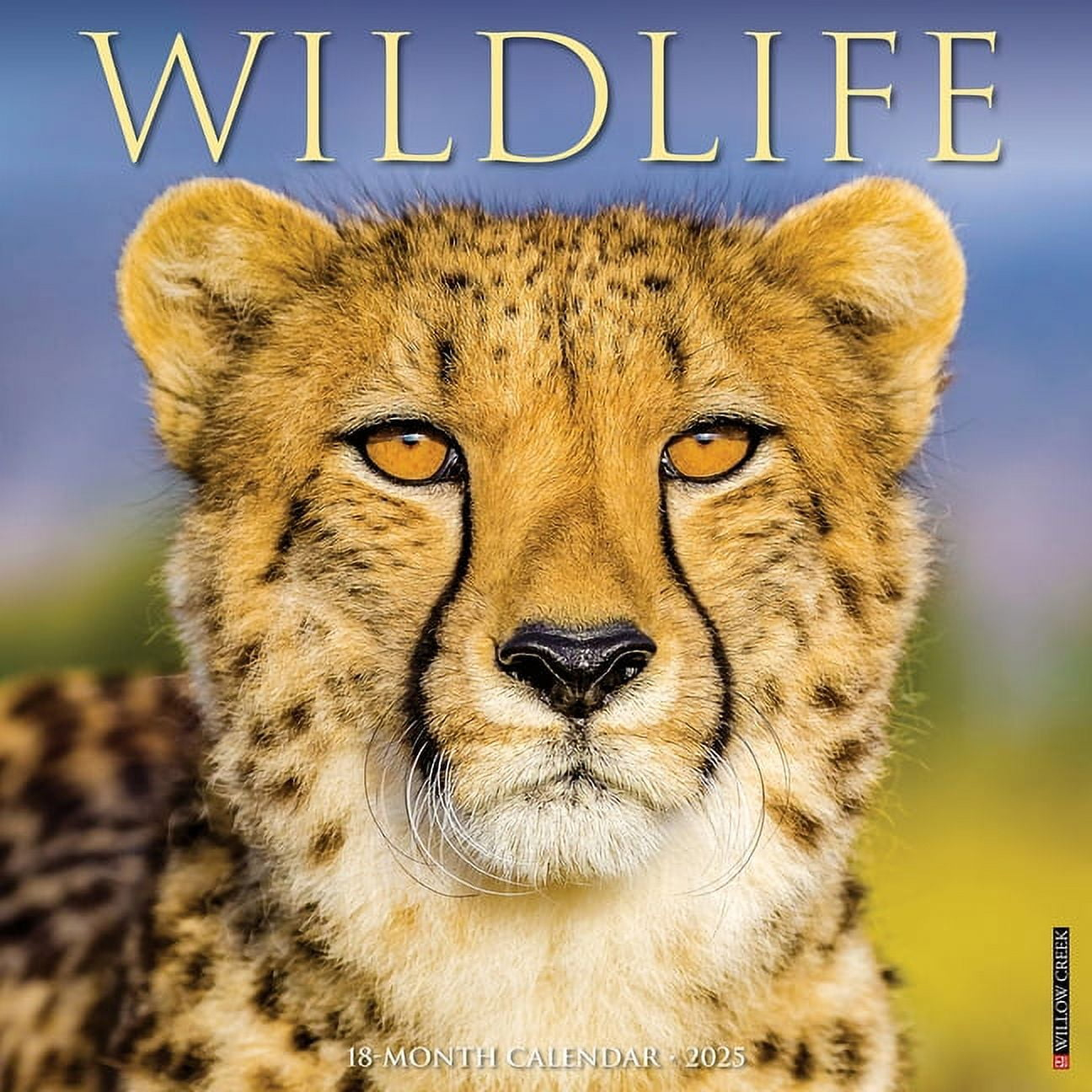 Wildlife 2025 Wall Calendar pertaining to Northwoods Wildlife 2025 Calendar Printable