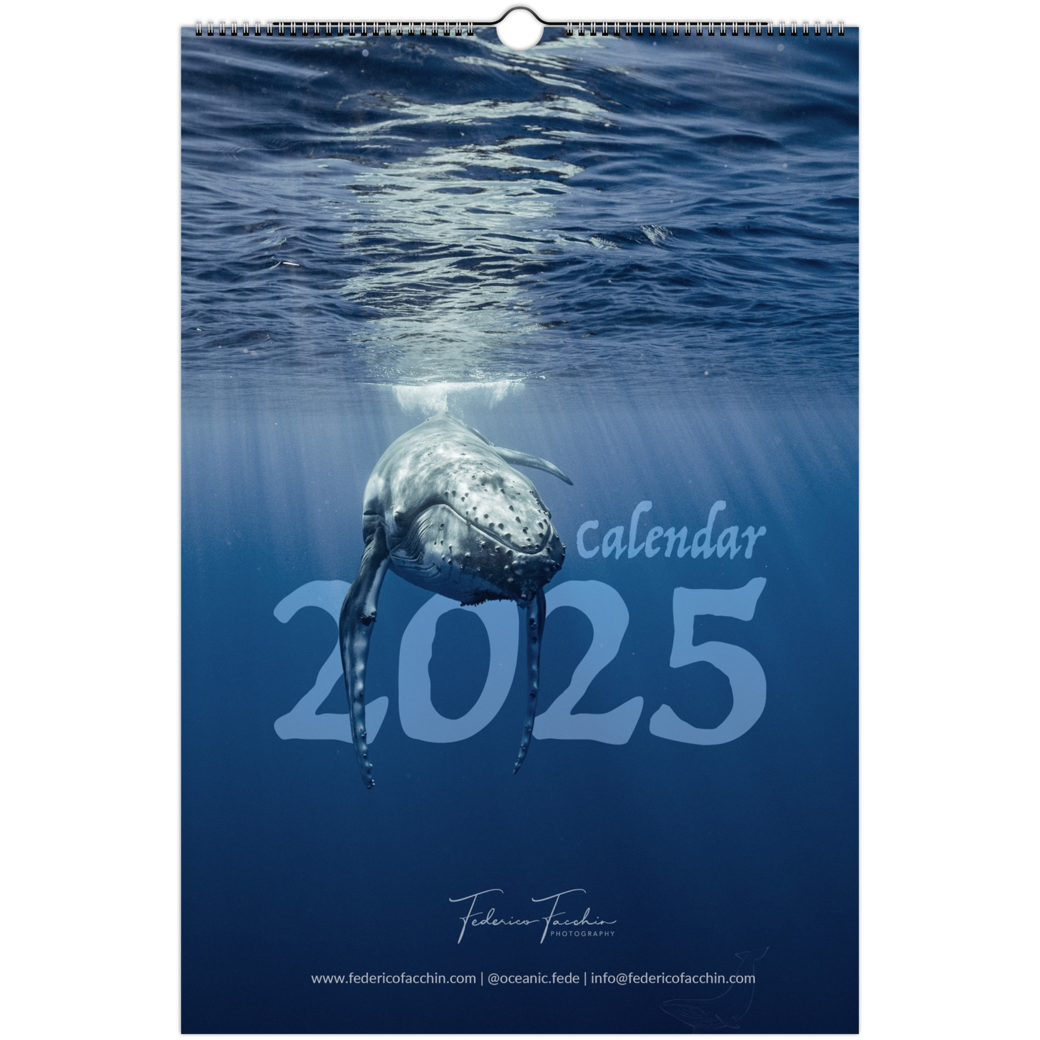 Wildlife &amp;amp; Nature Photography Calendar 2025Federico Facchin pertaining to Whales 2025 Calendar Printable