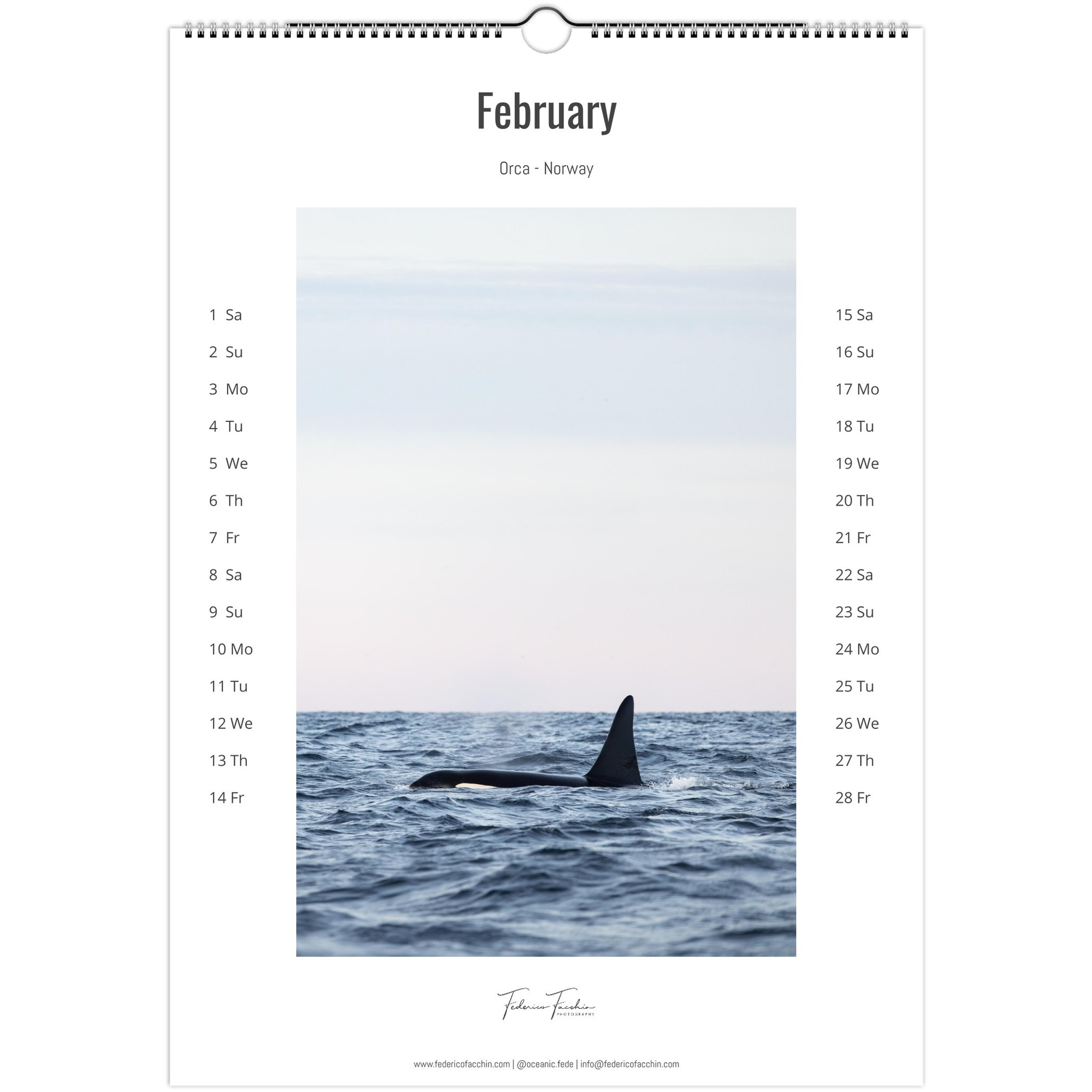 Wildlife &amp;amp; Nature Photography Calendar 2025Federico Facchin with Orcas 2025 Calendar Printable