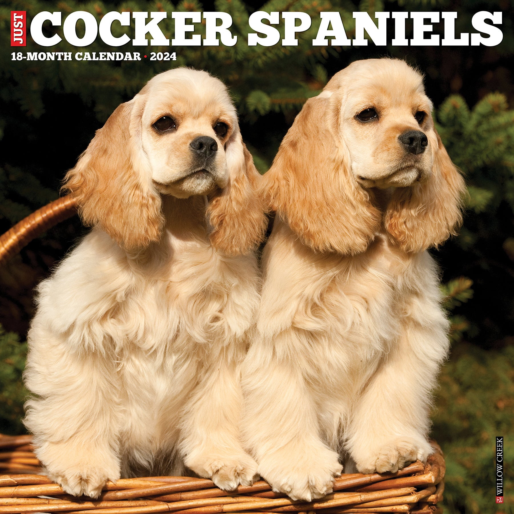 Willow Creek Press 2024 Cocker Spaniels Wall Calendar, 12&amp;quot; X 12 inside Just Cocker Spaniels 2025 Calendar Printable