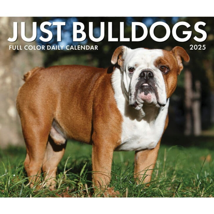 Just Bulldog Puppies 2025 Calendar Printable