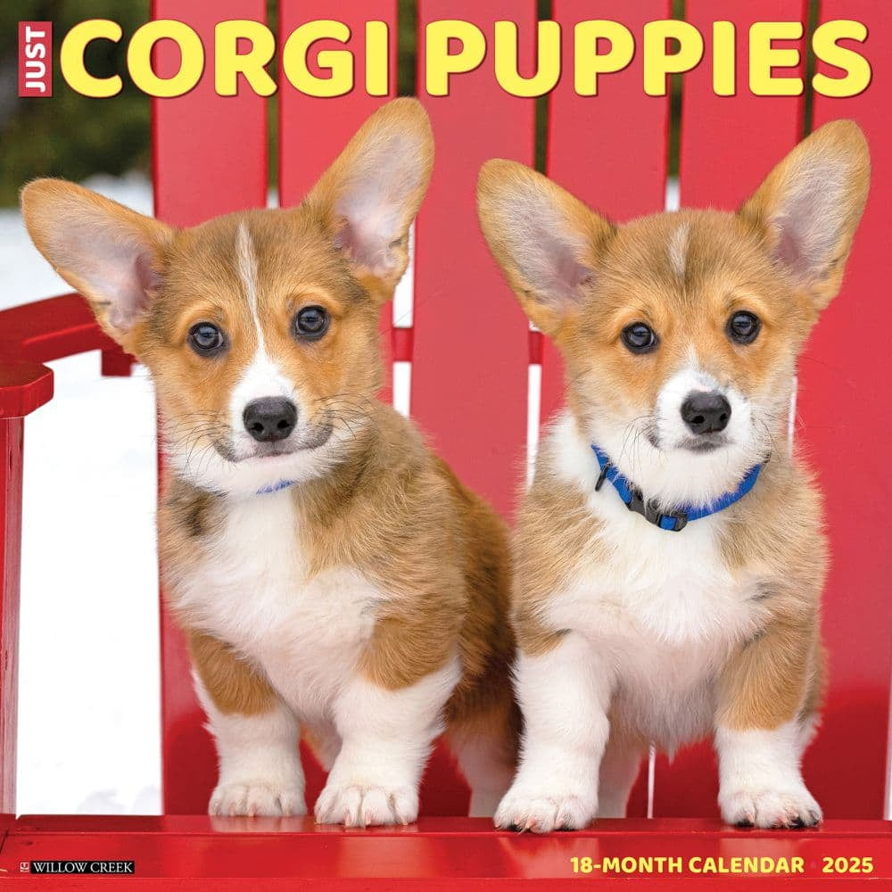Willow Creek Press, Just Corgi Puppies 2025 Wall Calendar within Just Corgis 2025 Calendar Printable