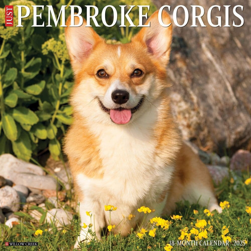 Willow Creek Press, Just Pembrook Corgis 2025 Wall Calendar pertaining to Just Corgi Puppies 2025 Calendar Printable