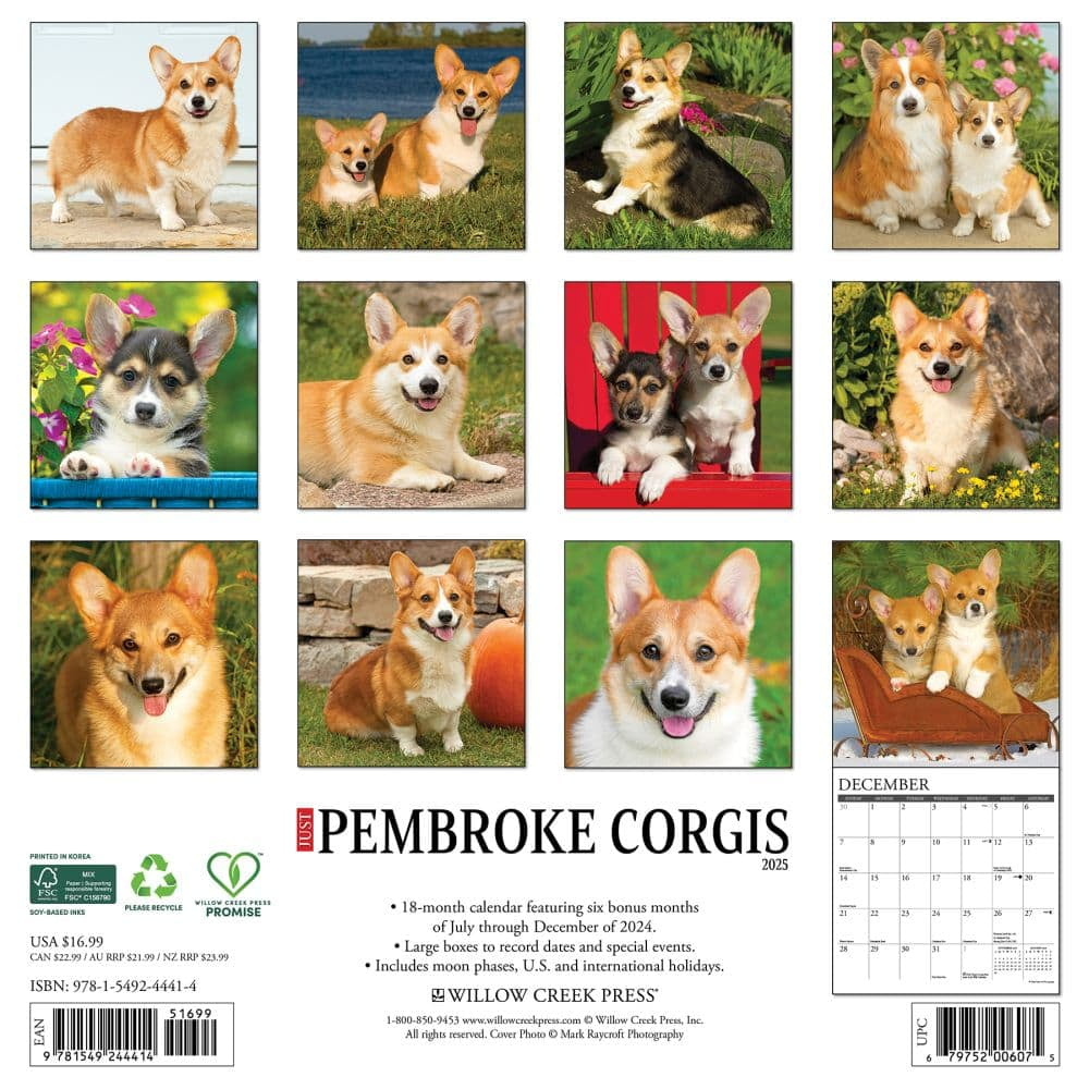 Willow Creek Press, Just Pembrook Corgis 2025 Wall Calendar throughout Just Pembrook Corgis 2025 Calendar Printable