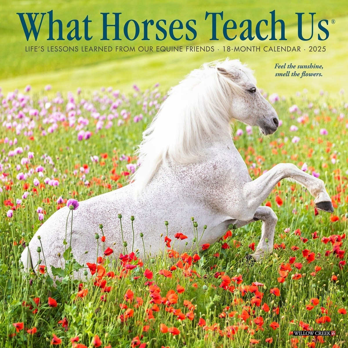 Willow Creek What Horses Teach Us 2025 7&amp;quot; X 7&amp;quot; Mini Wall Calendar with What Horses Teach Us 2025 Calendar Printable