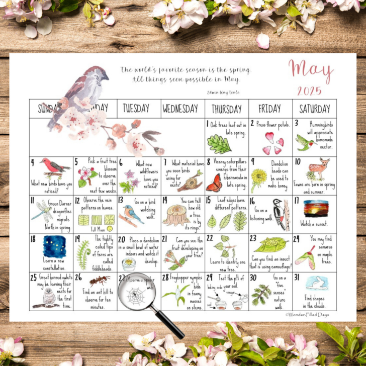 Natures Wonders 2025 Calendar Printable