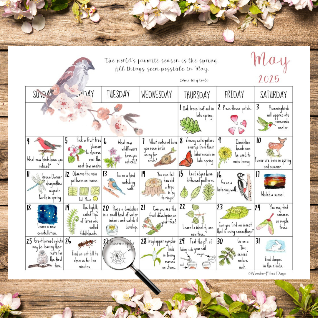 Wonder-Filled Days In Nature Monthly Membership (Digital) with Natures Wonders 2025 Calendar Printable