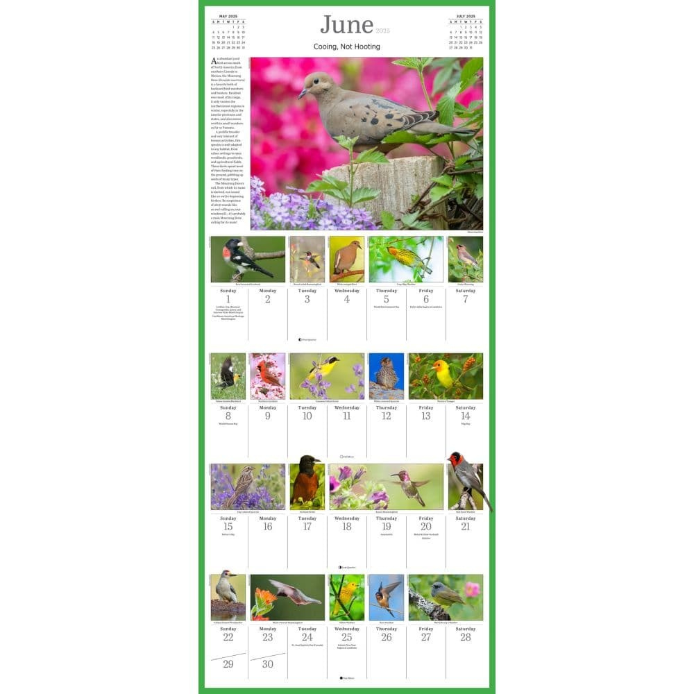 Workman Publishing, Audubon 365 Songbirds 2025 Wall Calendar within Audubon 365 Songbirds 2025 Calendar Printable