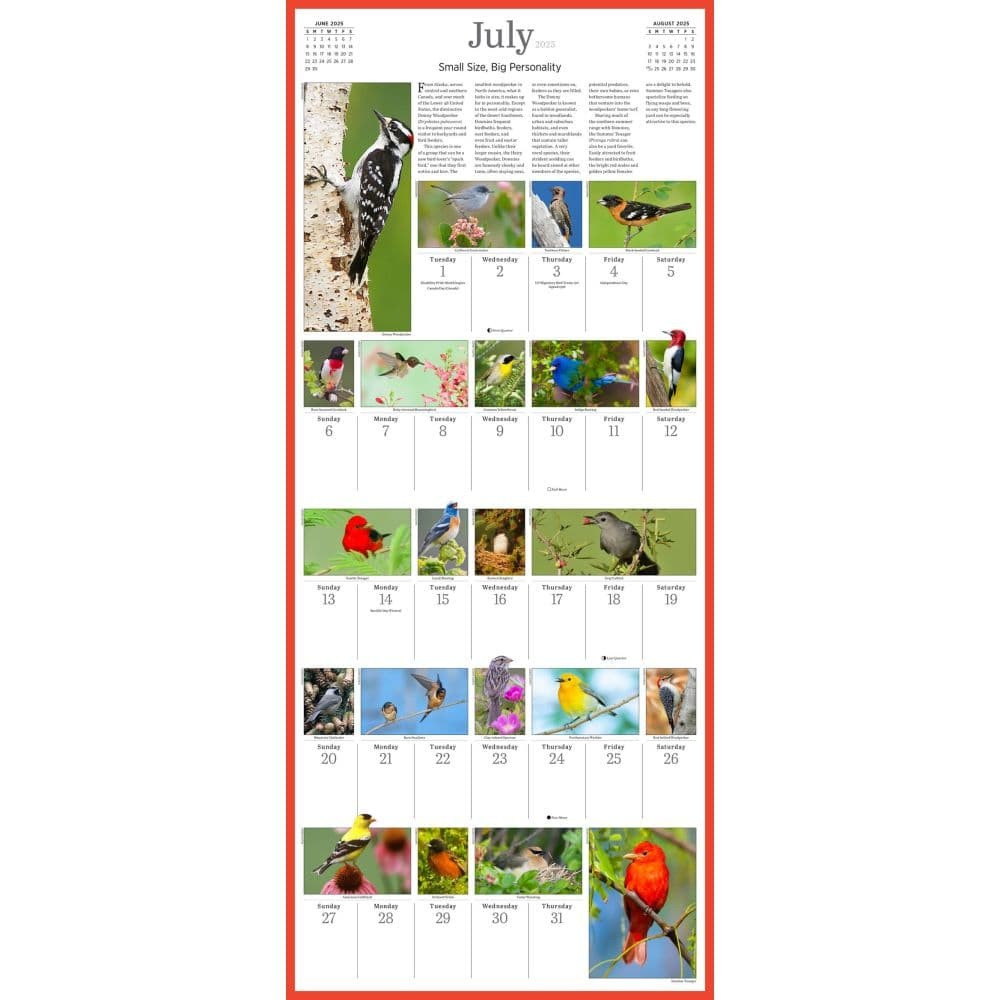 Workman Publishing, Audubon 365 Songbirds 2025 Wall Calendar within Audubon 365 Songbirds 2025 Calendar Printable