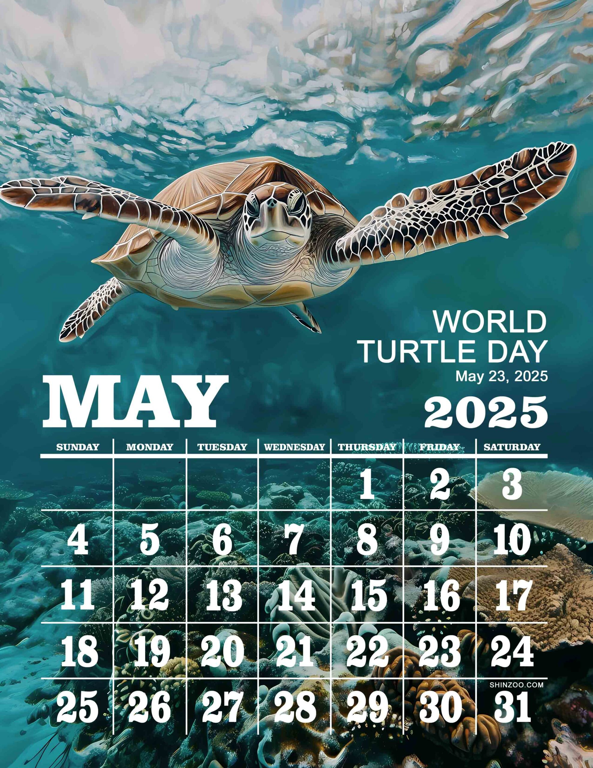 World Turtle Day 2025 May Calendar Swimming Sea Turtle Ocean Theme throughout Hawaiian Sea Turtles 2025 Calendar Printable