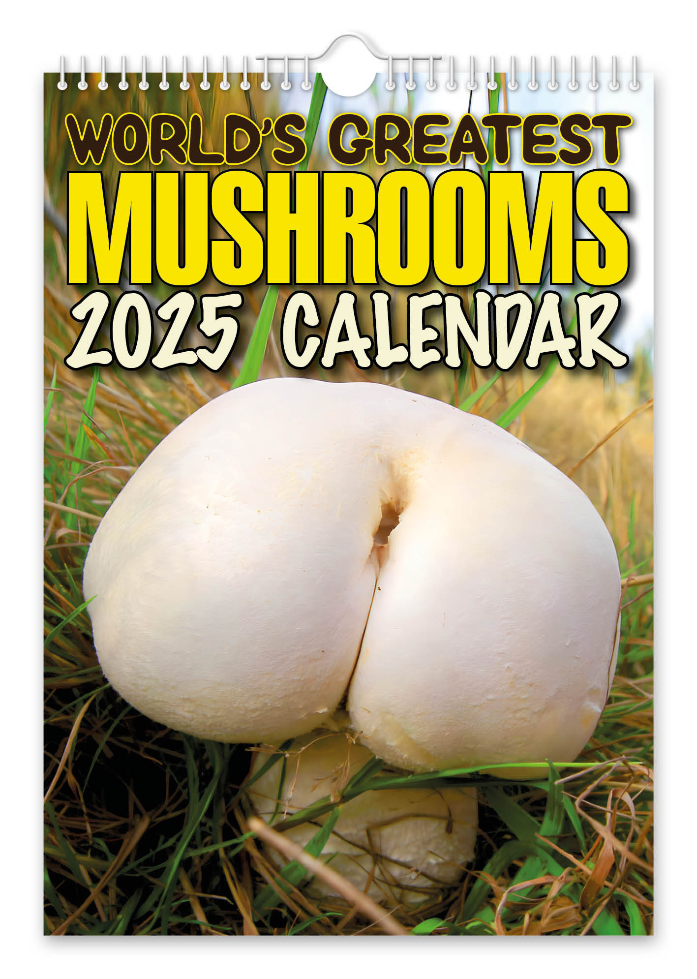 World&amp;#039;S Greatest Mushrooms - 2025 Wall Calendar - The Calendar King throughout Mushroom Poster 2025 Calendar Printable