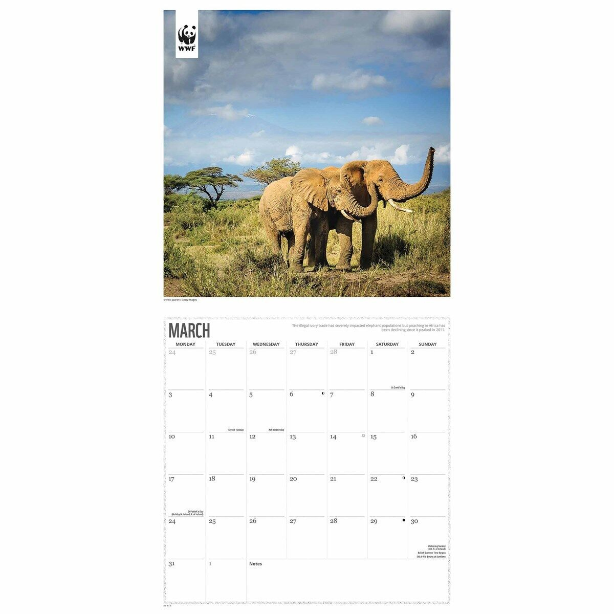 Wwf, Elephants Calendar 2025 - Animal - Month To View with regard to Elephants WWF 2025 Calendar Printable