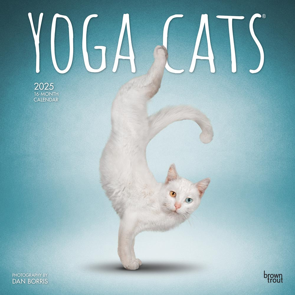 Yoga Cats Official | 2025 12 X 24 Inch Monthly Square Wall within Yoga Kittens Plato 2025 Calendar Printable