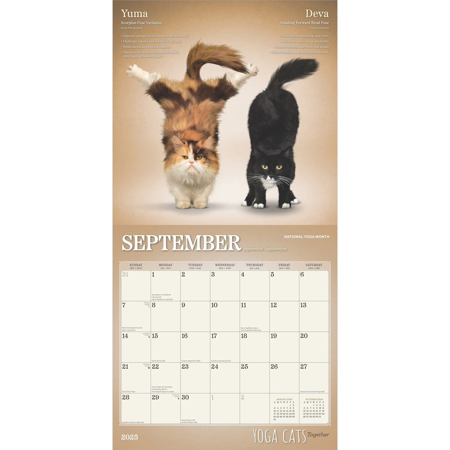 Yoga Cats Together Official | 2025 12 X 24 Inch Monthly Square Wall Calendar | Plato | Animals Humor Pets pertaining to Yoga Kittens Plato 2025 Calendar Printable