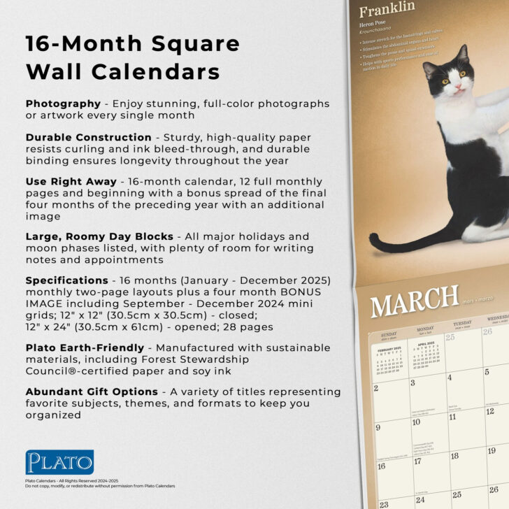 Yoga Kittens Plato 2025 Calendar Printable