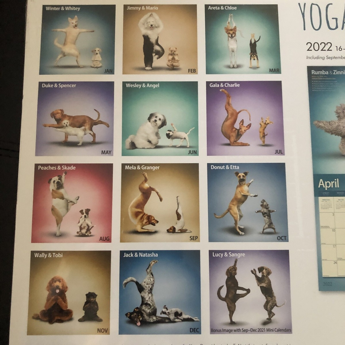 Yoga Dogs 2022 Wall Calendar Photos Of Adorable, Sweet, Innocent in Yoga Puppies Plato 2025 Calendar Printable