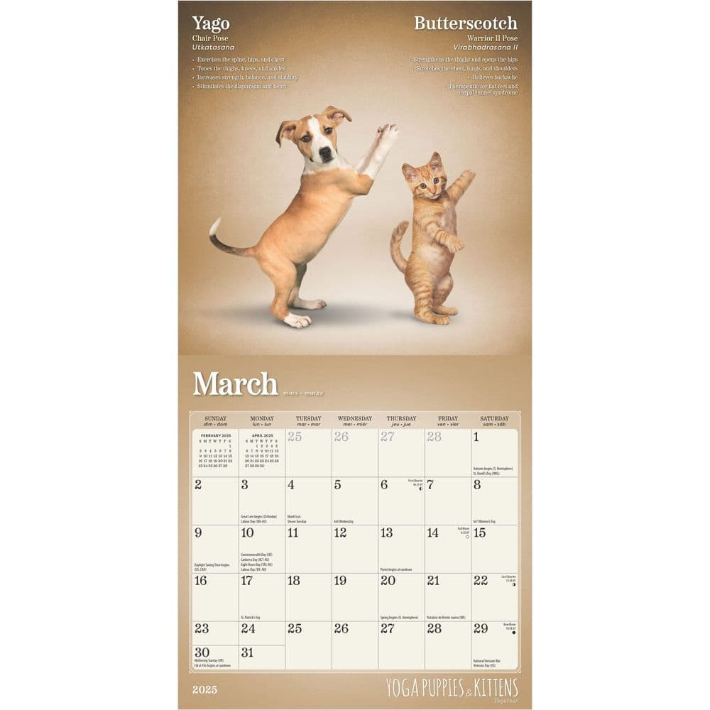 Yoga Puppies And Kittens 2025 Mini Wall Calendar - Calendars intended for Yoga Puppies Plato 2025 Calendar Printable
