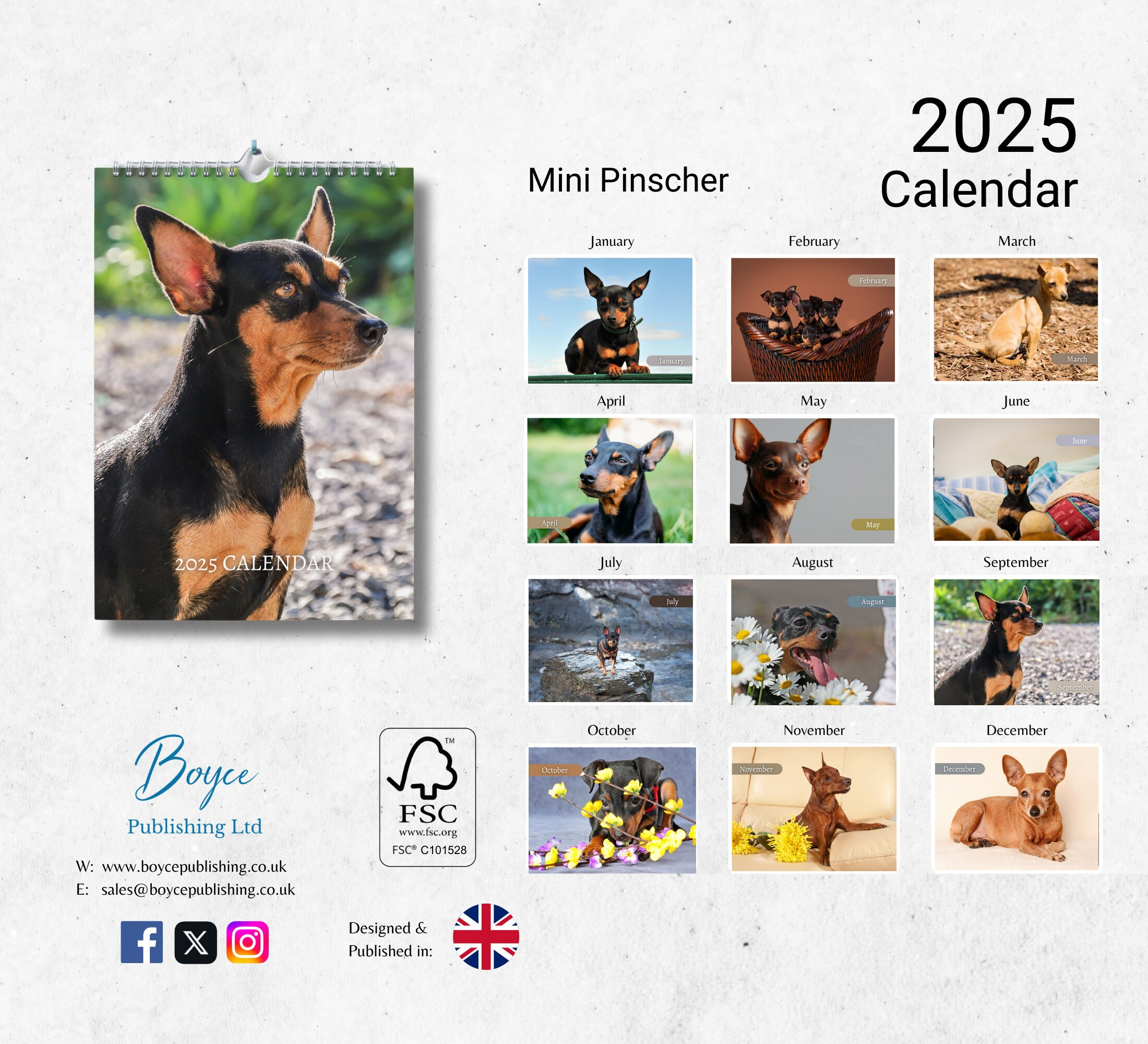 Zwergpinscher Kalender 2025: Wandkalender 2025 Mit Notizen intended for Just Miniature Pinschers 2025 Calendar Printable