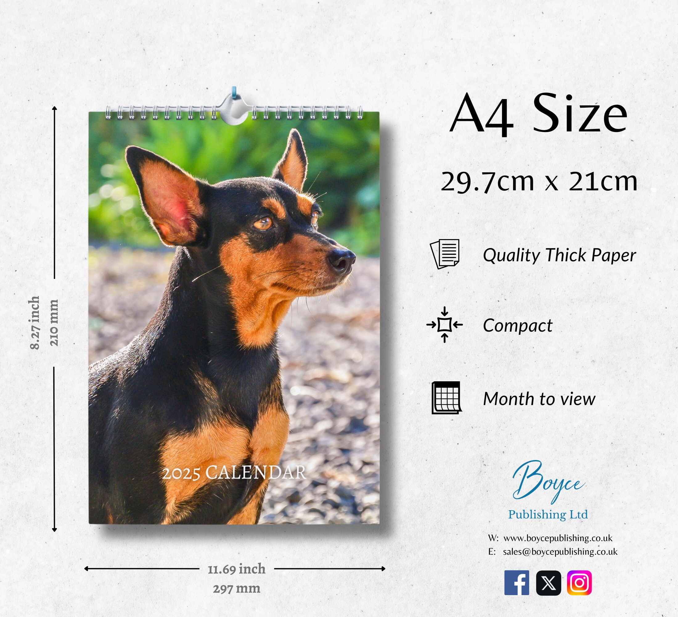 Zwergpinscher Kalender 2025: Wandkalender 2025 Mit Notizen regarding Just Miniature Pinschers 2025 Calendar Printable