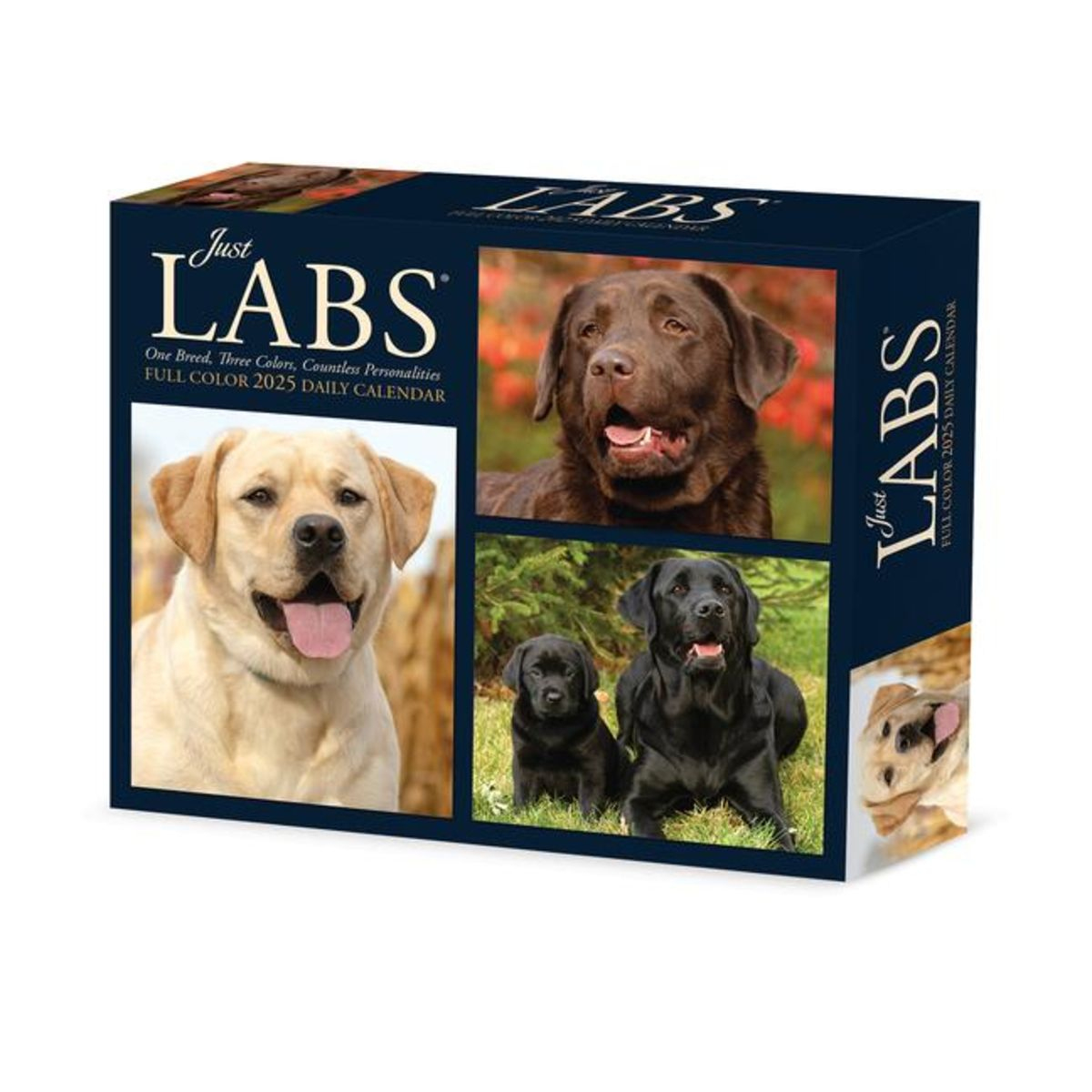 &amp;quot;Labs 2025 6.2 X 5.4 Box Calendar&amp;quot; Kaufen intended for July 2025 Calendar Labs