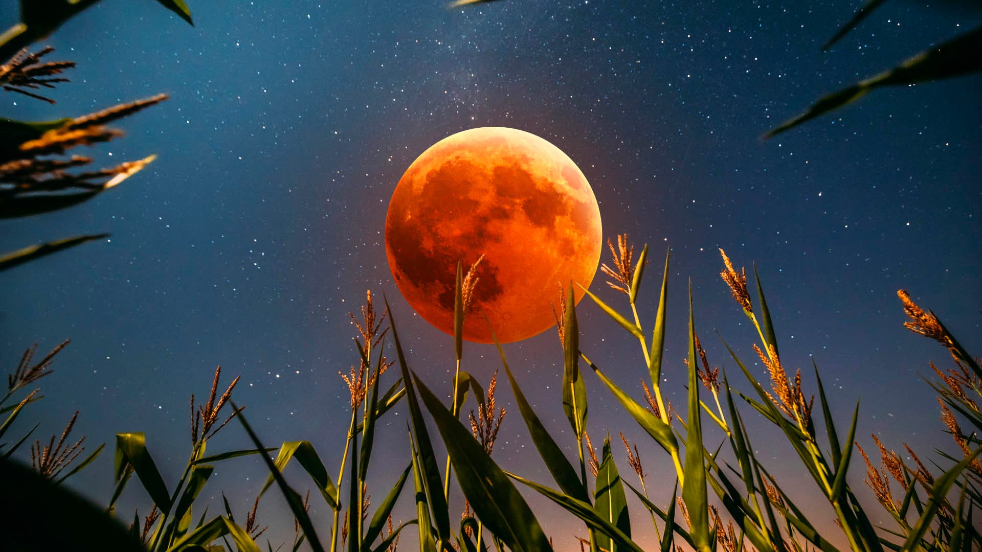 Cuando Es Luna Llena Septiembre 2025 Significado | Luna De La for Luna September 2025